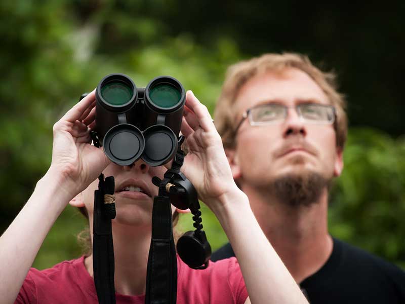 Buy-binoculars-in-NZ-ScopeUout NZ